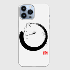 Чехол для iPhone 13 Pro Max с принтом Котик на тебе спит в Новосибирске,  |  | Тематика изображения на принте: cat | cats | киса | киска | кот | котенок | коты | кошечка | кошка | кошки | мем | мем с котом | феншуй