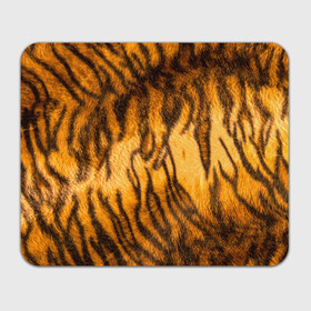 Прямоугольный коврик для мышки с принтом Шкура тигра 2022 в Новосибирске, натуральный каучук | размер 230 х 185 мм; запечатка лицевой стороны | Тематика изображения на принте: 2022 | год тигра | новый год | новый год 2022 | символ года | тигр | тигренок | тигрица | тигры