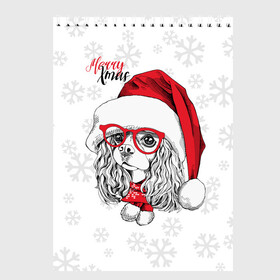 Скетчбук с принтом Happy Christmas кокер спаниель в Новосибирске, 100% бумага
 | 48 листов, плотность листов — 100 г/м2, плотность картонной обложки — 250 г/м2. Листы скреплены сверху удобной пружинной спиралью | Тематика изображения на принте: american | cap | christmas | cocker spaniel | happy christmas | knitted scarf | new year | purebred dog | red | santa claus | snowflakes | американский | вязаный шарф | кокер спаниель | колпак | красные | новый год | очки | породистая собака | р