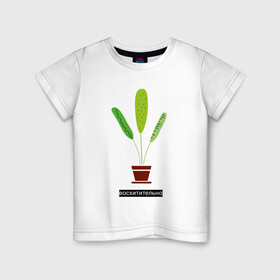 Детская футболка хлопок с принтом Растение в горшке Восхитительно в Новосибирске, 100% хлопок | круглый вырез горловины, полуприлегающий силуэт, длина до линии бедер | дом | интерьер | листья | растение | растение в горшке | уют | флора | цветок