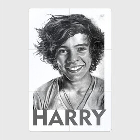 Магнитный плакат 2Х3 с принтом Harry  Styles в Новосибирске, Полимерный материал с магнитным слоем | 6 деталей размером 9*9 см | harry edward styles | британец | бритпопо | гарри стайлс | дирекшин | дирекшины