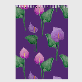 Скетчбук с принтом Разноцветные антуриумы на фиолетовом фоне в Новосибирске, 100% бумага
 | 48 листов, плотность листов — 100 г/м2, плотность картонной обложки — 250 г/м2. Листы скреплены сверху удобной пружинной спиралью | 8 марта | anthuriums | flowers | leaves | nature | антуриумы | ботаническая иллюстрация | день рождения | зеленый | листья | природа | растения | фиолетовый | цветы
