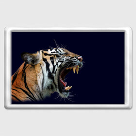 Магнит 45*70 с принтом Оскал тигра | Большая кошка в Новосибирске, Пластик | Размер: 78*52 мм; Размер печати: 70*45 | Тематика изображения на принте: 2022 | big teeth | fangs | grin | tiger | tigr | tigris | большая кошка | большие зубы | клыки | новый год | оскалиться | острые клыки | полосатая кошка | скалить | скалить зубы | тигр