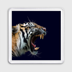 Магнит 55*55 с принтом Оскал тигра | Большая кошка в Новосибирске, Пластик | Размер: 65*65 мм; Размер печати: 55*55 мм | Тематика изображения на принте: 2022 | big teeth | fangs | grin | tiger | tigr | tigris | большая кошка | большие зубы | клыки | новый год | оскалиться | острые клыки | полосатая кошка | скалить | скалить зубы | тигр