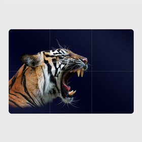 Магнитный плакат 3Х2 с принтом Оскал тигра | Большая кошка в Новосибирске, Полимерный материал с магнитным слоем | 6 деталей размером 9*9 см | Тематика изображения на принте: 2022 | big teeth | fangs | grin | tiger | tigr | tigris | большая кошка | большие зубы | клыки | новый год | оскалиться | острые клыки | полосатая кошка | скалить | скалить зубы | тигр