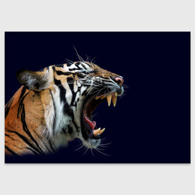 Поздравительная открытка с принтом Оскал тигра | Большая кошка в Новосибирске, 100% бумага | плотность бумаги 280 г/м2, матовая, на обратной стороне линовка и место для марки
 | 2022 | big teeth | fangs | grin | tiger | tigr | tigris | большая кошка | большие зубы | клыки | новый год | оскалиться | острые клыки | полосатая кошка | скалить | скалить зубы | тигр