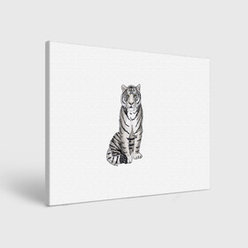 Холст прямоугольный с принтом Сидящая белая тигрица в Новосибирске, 100% ПВХ |  | Тематика изображения на принте: tiger | tigress | white tiger | белый тигр | символ 2022 | тигр сидит | тигрца