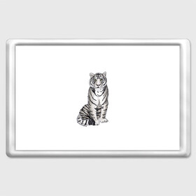 Магнит 45*70 с принтом Сидящая белая тигрица в Новосибирске, Пластик | Размер: 78*52 мм; Размер печати: 70*45 | Тематика изображения на принте: tiger | tigress | white tiger | белый тигр | символ 2022 | тигр сидит | тигрца