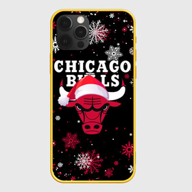 Чехол для iPhone 12 Pro с принтом НОВОГОДНИЙ CHICAGO BULLS 2022 СНЕЖИНКИ в Новосибирске, силикон | область печати: задняя сторона чехла, без боковых панелей | 2022 | 23 | basketball | bulls | chicago bulls | jordan | logo | michael jordan | nba | red | sport | баскетбол | быки | джордан | лого | майкл джордан | новогодний чикаго булс | новый год | спорт | чикаго буллс | чикаго булс новый год