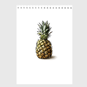 Скетчбук с принтом Pineapple watercolor в Новосибирске, 100% бумага
 | 48 листов, плотность листов — 100 г/м2, плотность картонной обложки — 250 г/м2. Листы скреплены сверху удобной пружинной спиралью | Тематика изображения на принте: pineapple | ананас | графика | еда | рисунок | фрукт