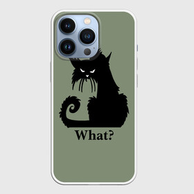 Чехол для iPhone 13 Pro с принтом What Что в Новосибирске,  |  | black cat | cat | fearsome | halloween | question | silhouette | stern look | what | вопрос | кошка | силуэт | суровый взгляд | хеллоуин | черный кот | что