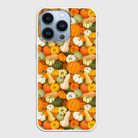 Чехол для iPhone 13 Pro с принтом Тыквы (Pumpkin) в Новосибирске,  |  | halloween | блюдо | веган | вегетарианец | витамины | диета | еда | завтрак | здоровое питание | здоровье | зелень | зож | корм | кушанье | обед | овощи | офощи | перекус | пища | повар | растительное питание