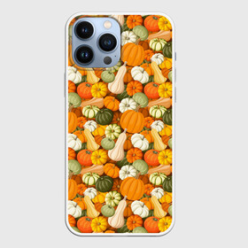 Чехол для iPhone 13 Pro Max с принтом Тыквы (Pumpkin) в Новосибирске,  |  | halloween | блюдо | веган | вегетарианец | витамины | диета | еда | завтрак | здоровое питание | здоровье | зелень | зож | корм | кушанье | обед | овощи | офощи | перекус | пища | повар | растительное питание