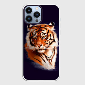 Чехол для iPhone 13 Pro Max с принтом Грозный Тигр | Символ 2022 Года | Tiger Beast в Новосибирске,  |  | Тематика изображения на принте: 2022 | beast | black | cat | christmas | merry | new year | tiger | xmas | водяной | год тигра | животные | зверь | когти | кот | кошки | новый год | огонь | паттерн | полосатый | рождество | тигр | узор | чб | черный