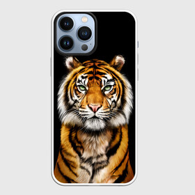 Чехол для iPhone 13 Pro Max с принтом Пушистый Тигр Во Тьме | Символ 2022 года в Новосибирске,  |  | 2022 | beast | black | cat | christmas | merry | new year | tiger | xmas | водяной | год тигра | животные | зверь | когти | кот | кошки | новый год | огонь | паттерн | полосатый | рождество | тигр | узор | чб | черный