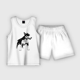 Детская пижама с шортами хлопок с принтом Бесстрашный бультерьер в Новосибирске,  |  | Тематика изображения на принте: bull terrier | dog | hype | muzzle | paws | power | tail | бультерьер | лапы | мощь | пёс | собака | хайп | хвост