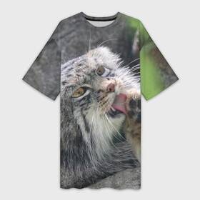 Платье-футболка 3D с принтом Манул  Лапка в Новосибирске,  |  | Тематика изображения на принте: cat | cats | всеядный | детеныш | дикие | звери | зверята | кот | котик | лапка | манул | медведь | милый | природа | хищник