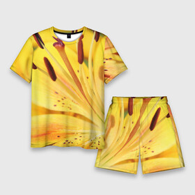 Мужской костюм с шортами 3D с принтом Оранжево желтая лилия в Новосибирске,  |  | дача | желтый | красота | лепесток | лето | лилия | огород | опыление | оранжевый | пестик | природа | растение | сад | тычинка | участок | фазенда | цветение | цветовод | цветоводство | цветок | цветы