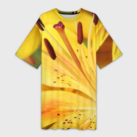 Платье-футболка 3D с принтом Оранжево желтая лилия в Новосибирске,  |  | дача | желтый | красота | лепесток | лето | лилия | огород | опыление | оранжевый | пестик | природа | растение | сад | тычинка | участок | фазенда | цветение | цветовод | цветоводство | цветок | цветы