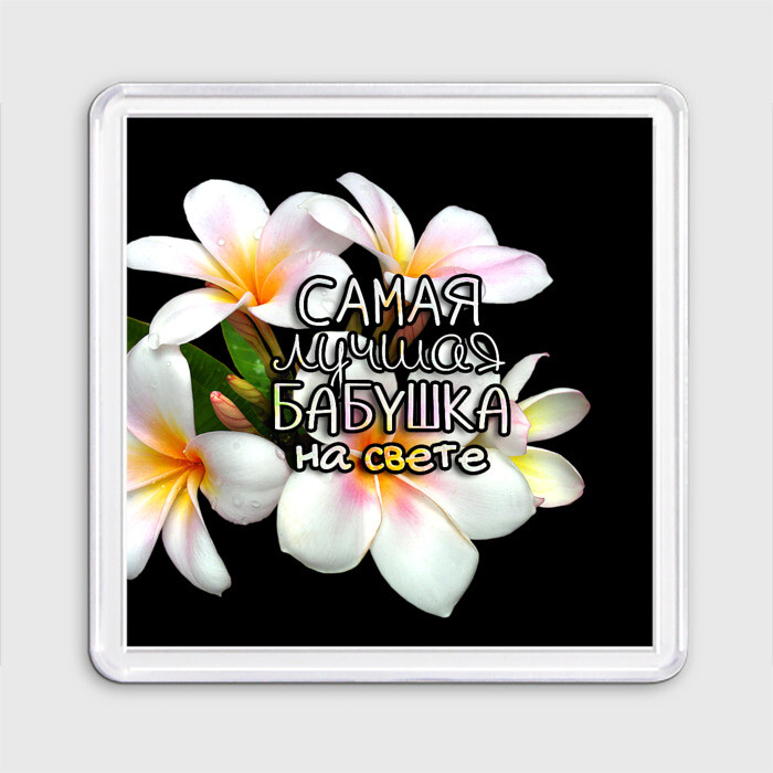 Магнит 55*55 Лучшая бабушка на свете фото